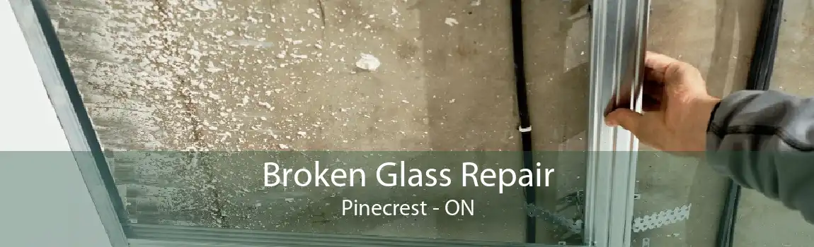 Broken Glass Repair Pinecrest - ON