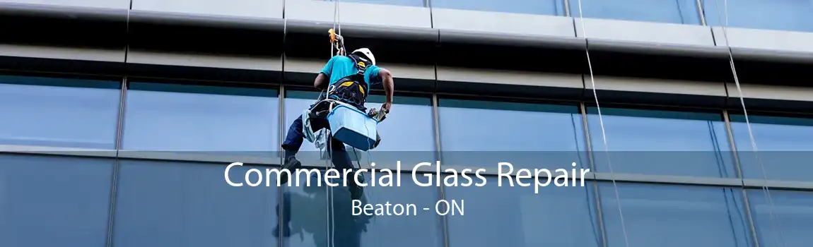 Commercial Glass Repair Beaton - ON