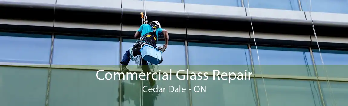 Commercial Glass Repair Cedar Dale - ON