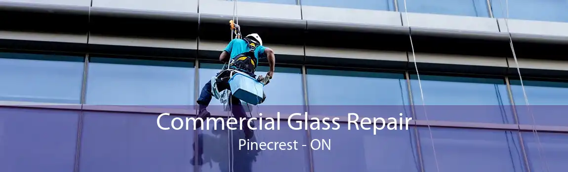 Commercial Glass Repair Pinecrest - ON