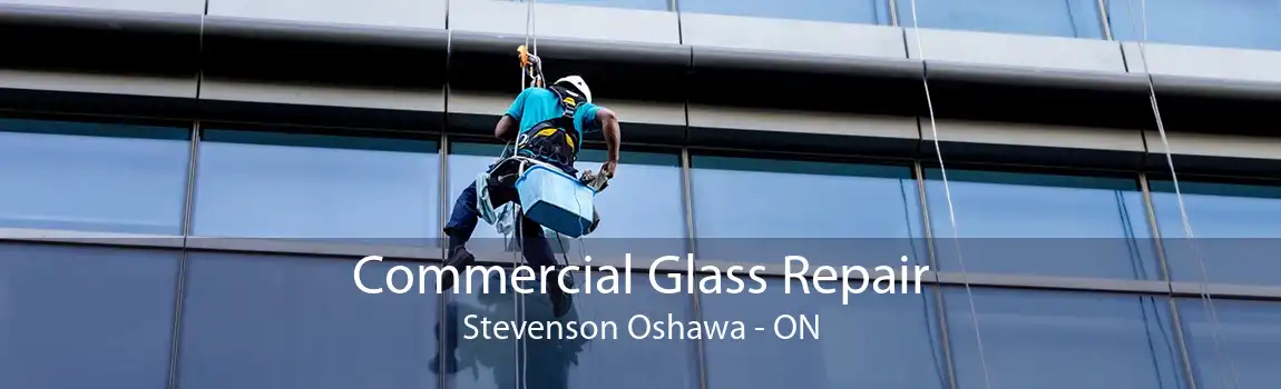 Commercial Glass Repair Stevenson Oshawa - ON