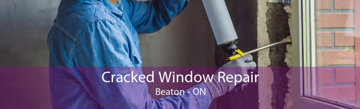 Cracked Window Repair Beaton - ON