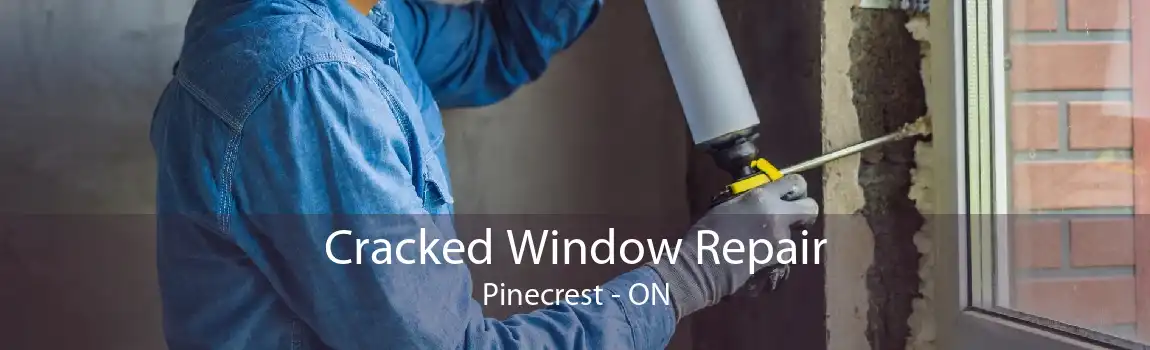 Cracked Window Repair Pinecrest - ON