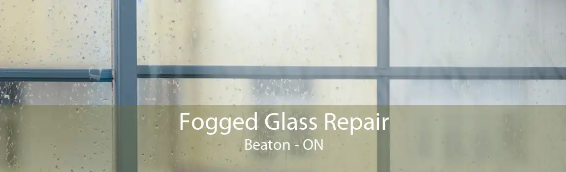 Fogged Glass Repair Beaton - ON