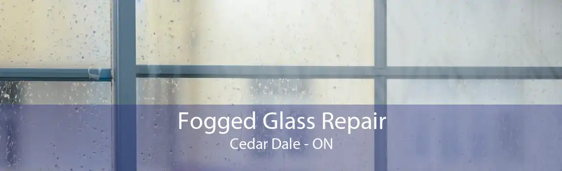 Fogged Glass Repair Cedar Dale - ON