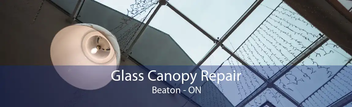 Glass Canopy Repair Beaton - ON