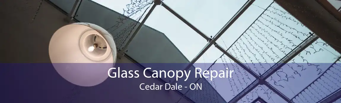 Glass Canopy Repair Cedar Dale - ON