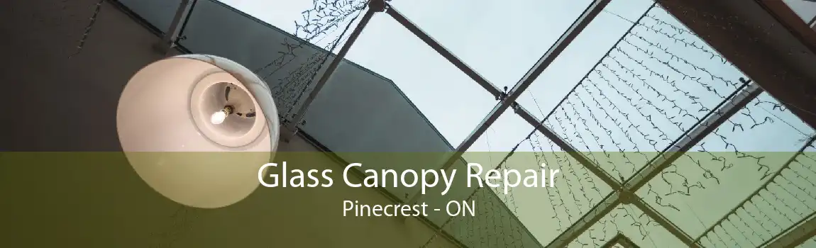 Glass Canopy Repair Pinecrest - ON