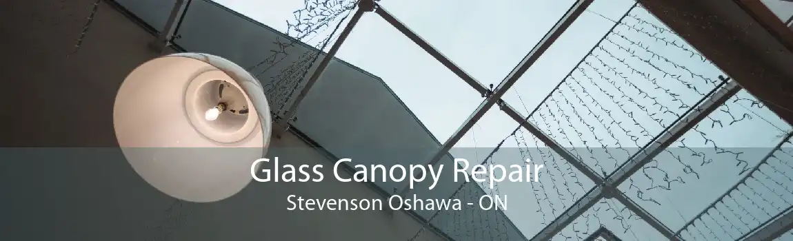 Glass Canopy Repair Stevenson Oshawa - ON