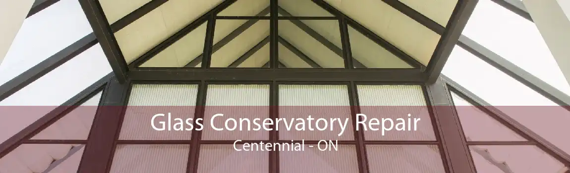 Glass Conservatory Repair Centennial - ON