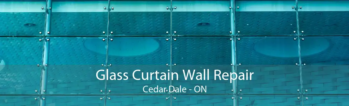 Glass Curtain Wall Repair Cedar Dale - ON