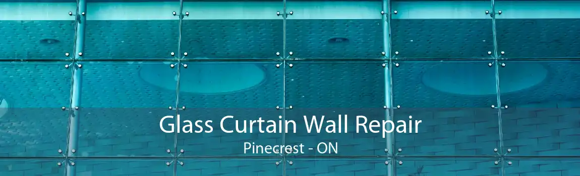 Glass Curtain Wall Repair Pinecrest - ON