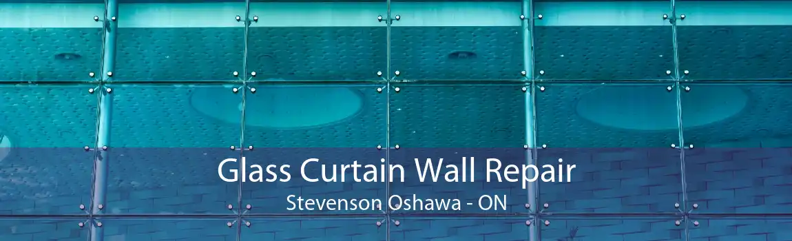 Glass Curtain Wall Repair Stevenson Oshawa - ON
