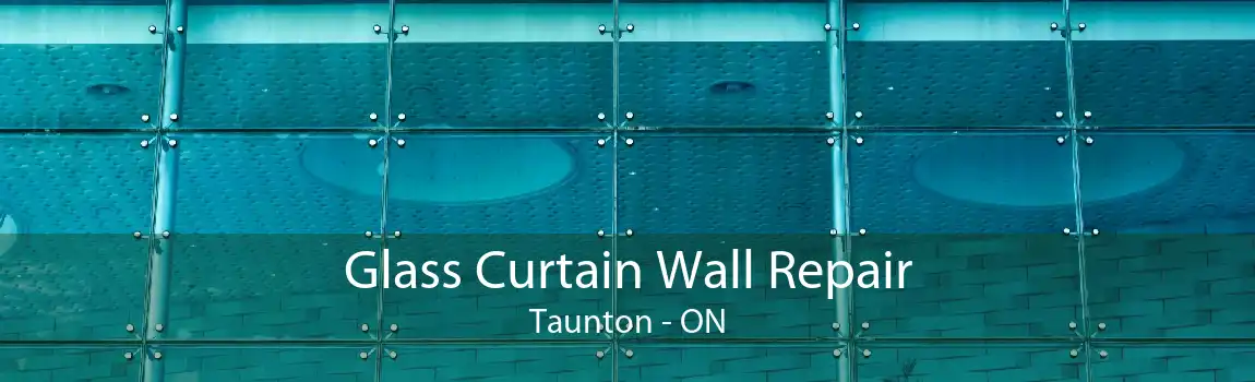 Glass Curtain Wall Repair Taunton - ON