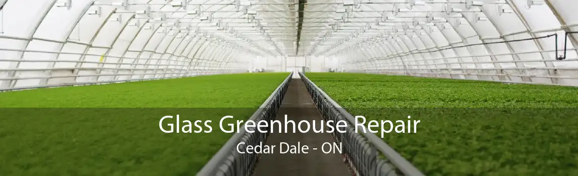 Glass Greenhouse Repair Cedar Dale - ON