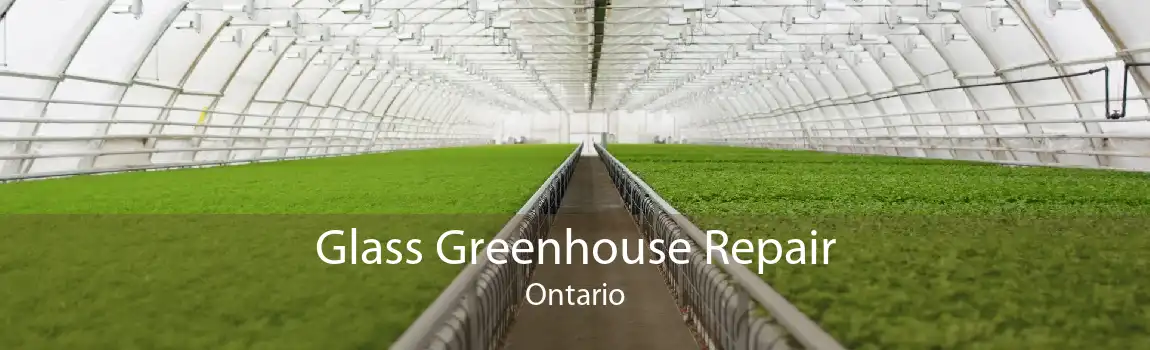 Glass Greenhouse Repair Ontario