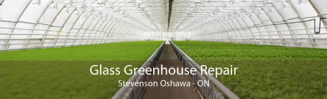 Glass Greenhouse Repair Stevenson Oshawa - ON