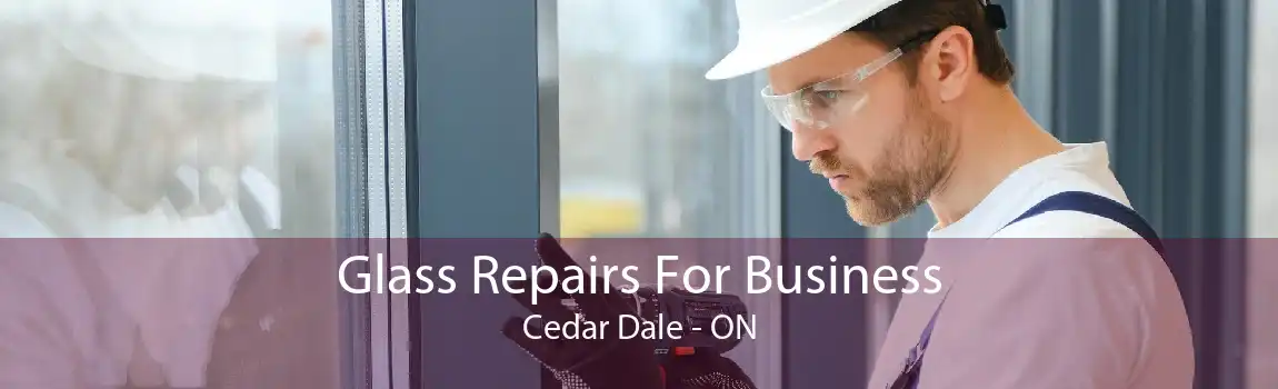 Glass Repairs For Business Cedar Dale - ON