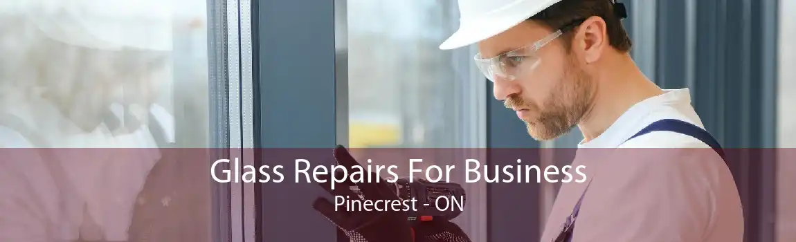 Glass Repairs For Business Pinecrest - ON