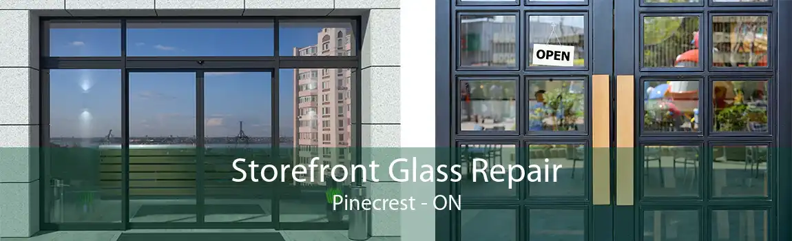 Storefront Glass Repair Pinecrest - ON