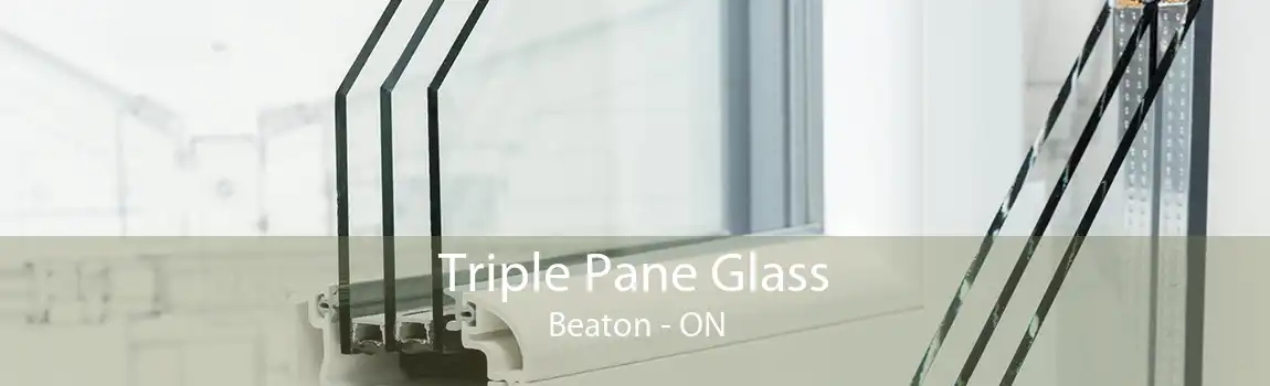 Triple Pane Glass Beaton - ON