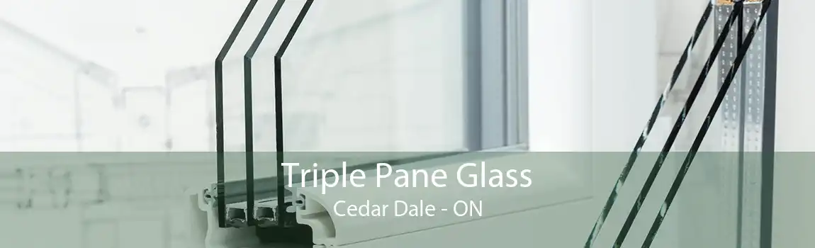 Triple Pane Glass Cedar Dale - ON