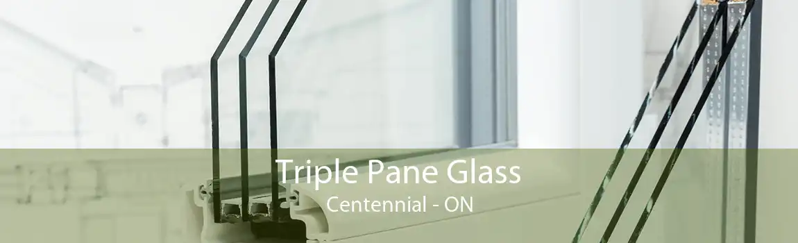 Triple Pane Glass Centennial - ON