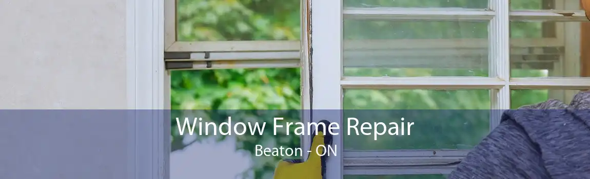 Window Frame Repair Beaton - ON