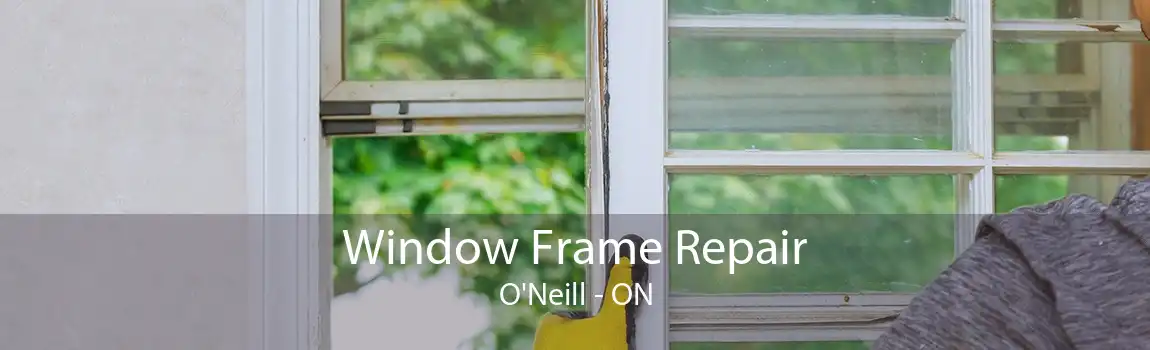 Window Frame Repair O'Neill - ON
