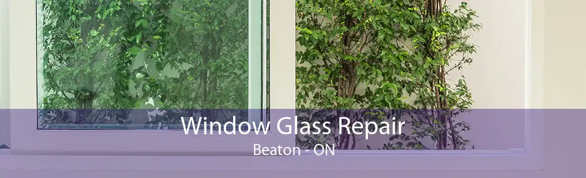 Window Glass Repair Beaton - ON