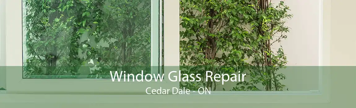Window Glass Repair Cedar Dale - ON