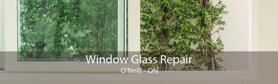 Window Glass Repair O'Neill - ON