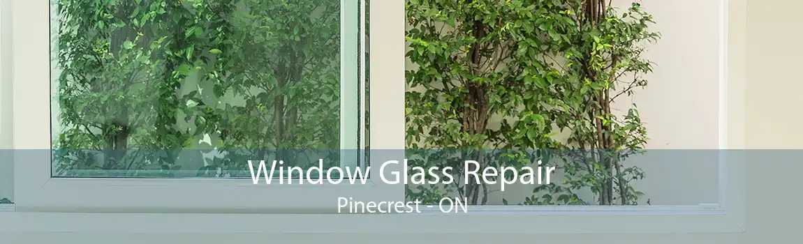 Window Glass Repair Pinecrest - ON