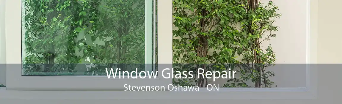 Window Glass Repair Stevenson Oshawa - ON