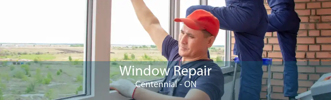 Window Repair Centennial - ON