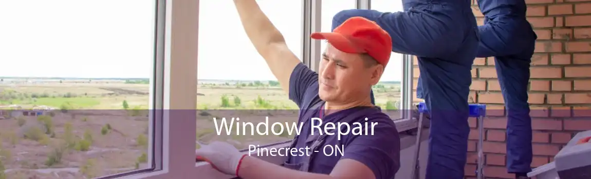 Window Repair Pinecrest - ON