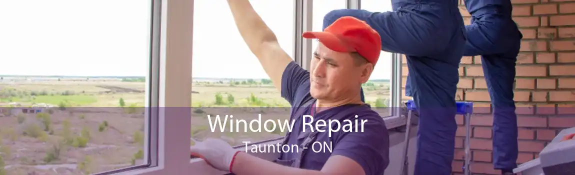 Window Repair Taunton - ON