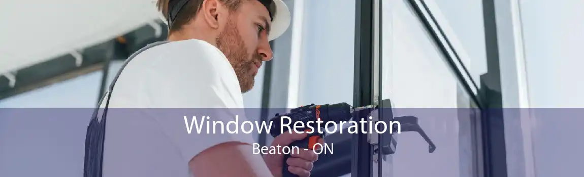 Window Restoration Beaton - ON