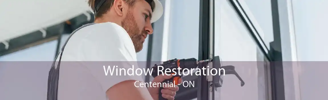Window Restoration Centennial - ON