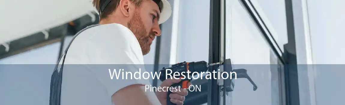 Window Restoration Pinecrest - ON