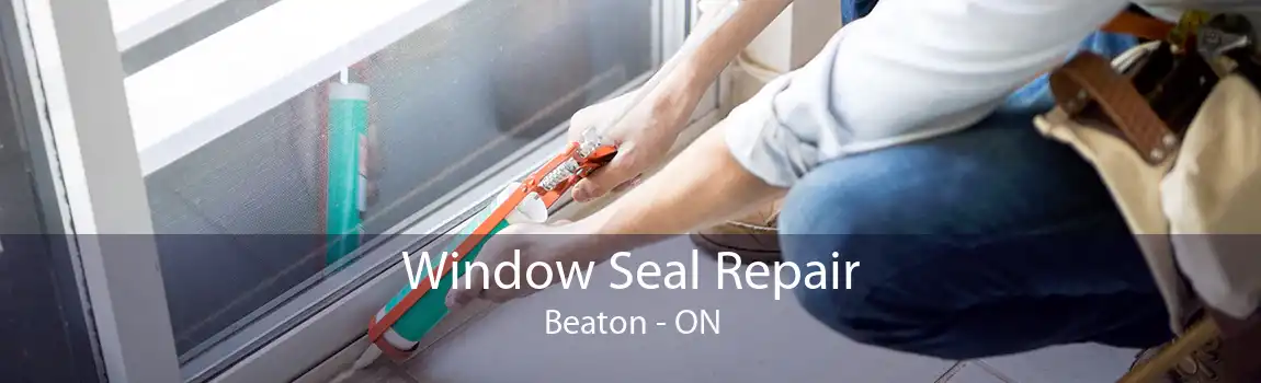Window Seal Repair Beaton - ON