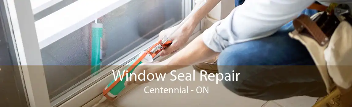 Window Seal Repair Centennial - ON