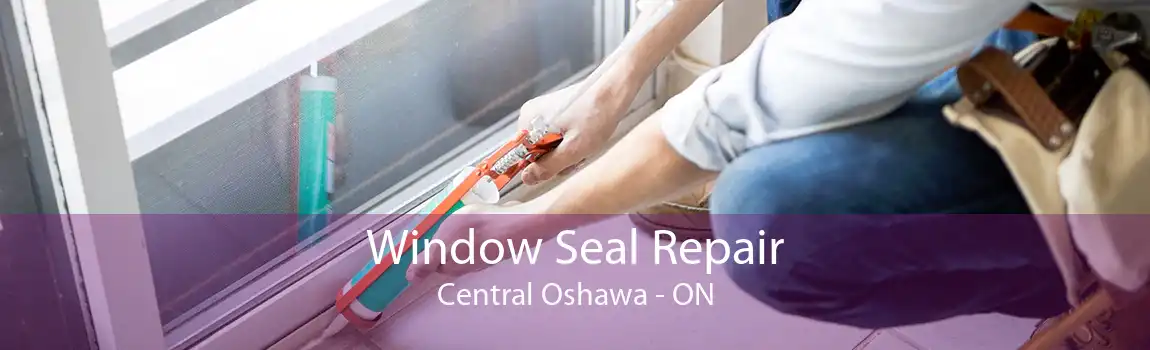 Window Seal Repair Central Oshawa - ON