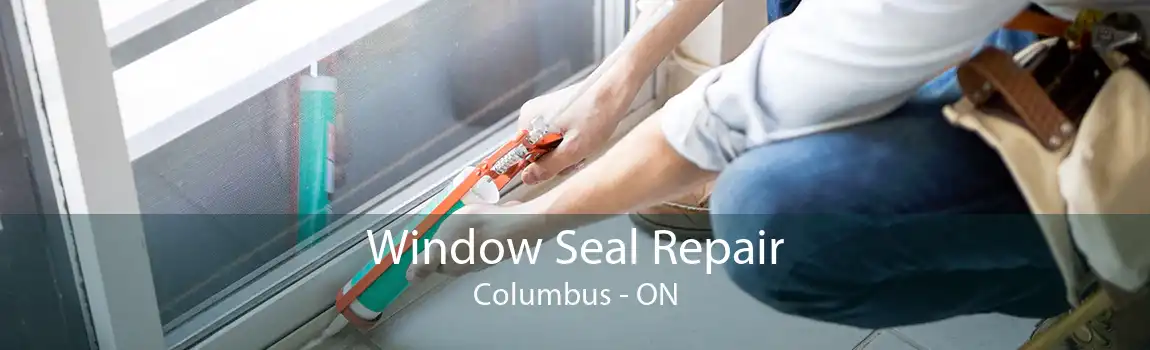 Window Seal Repair Columbus - ON