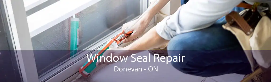 Window Seal Repair Donevan - ON