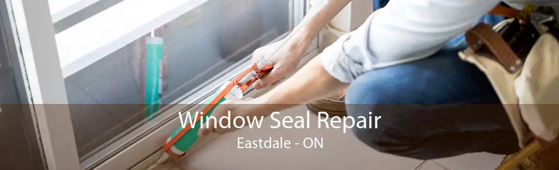 Window Seal Repair Eastdale - ON