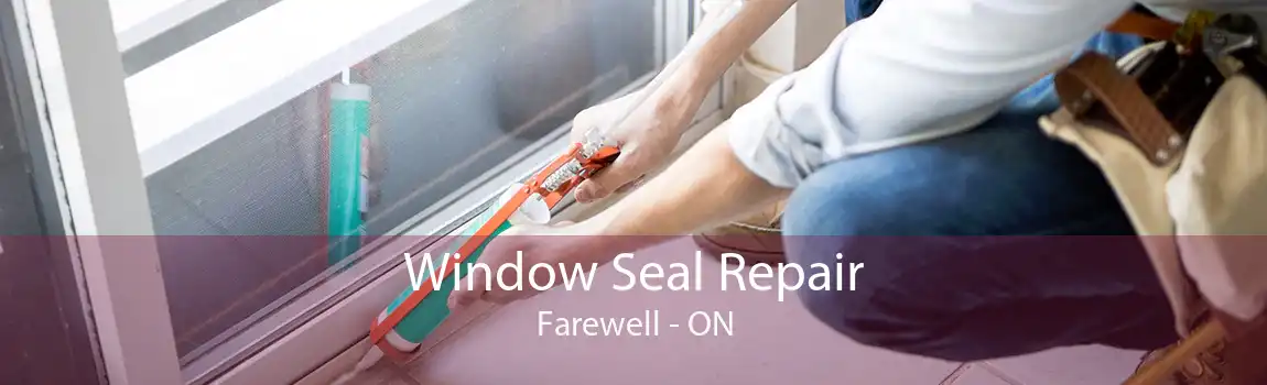Window Seal Repair Farewell - ON