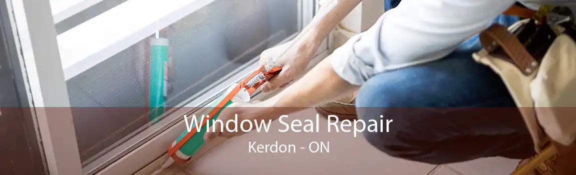 Window Seal Repair Kerdon - ON