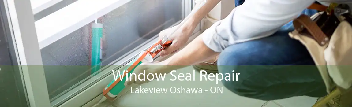 Window Seal Repair Lakeview Oshawa - ON