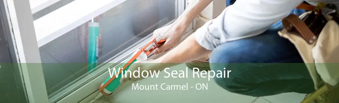 Window Seal Repair Mount Carmel - ON